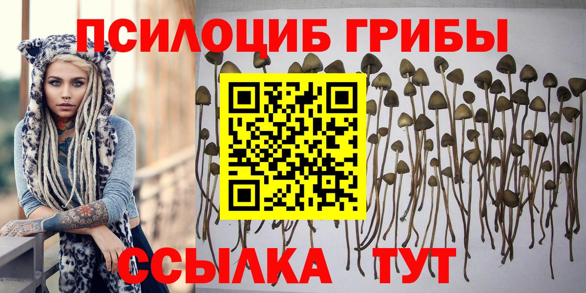 Псилоцибиновые грибы Cubensis  Вход с VPN  Оренбург 