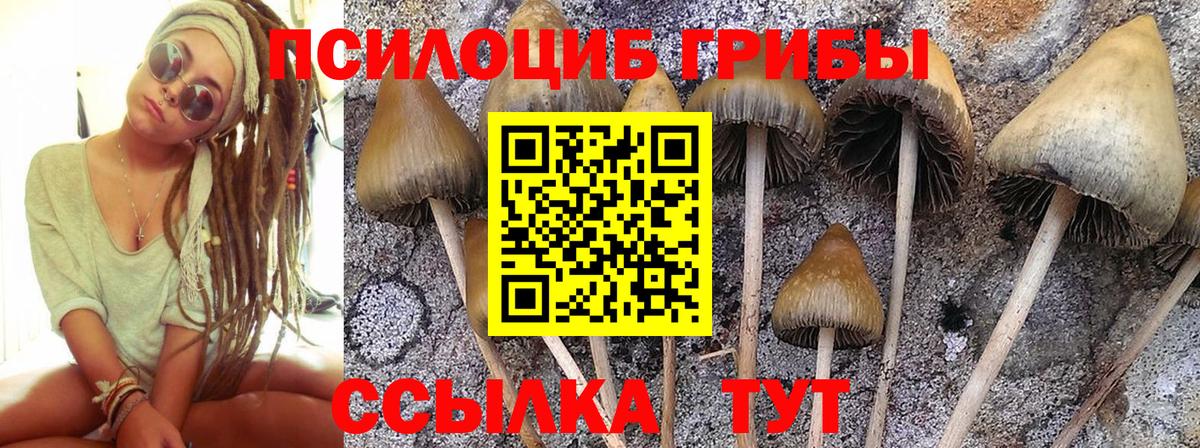 Меф кристаллы  Каннабис  Оренбург  Вход с VPN 